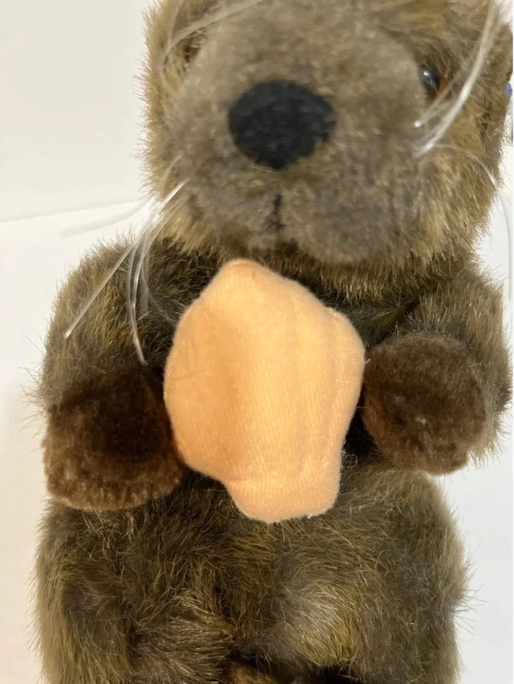 Sea World Sea Otter Holding Clam Brown Plush Stuffed Animal Soft